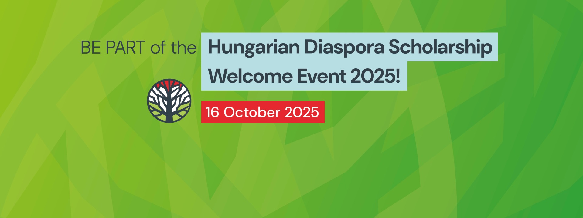 Hungarian Diaspora Scholarship Welcome Event 2025 cover image