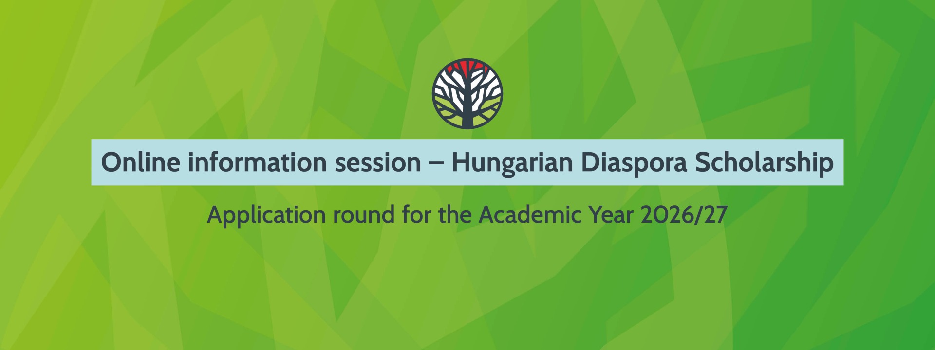 Online information session – Hungarian Diaspora Scholarship (application round for the Academic Year 2026/27) cover image